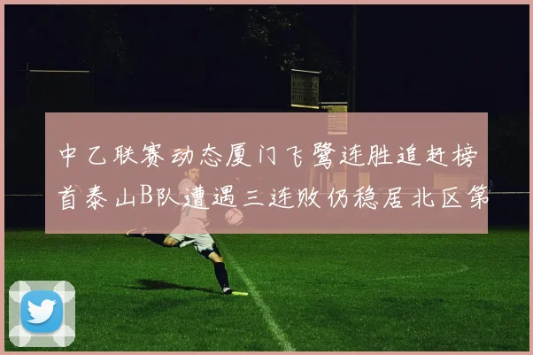 中乙联赛动态厦门飞鹭连胜追赶榜首泰山B队遭遇三连败仍稳居北区第三