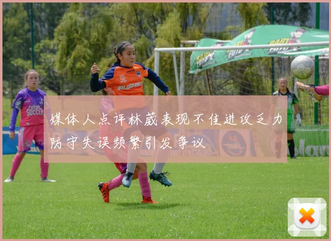 媒体人点评林葳表现不佳进攻乏力防守失误频繁引发争议