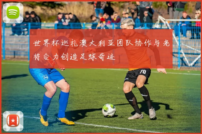 世界杯巡礼澳大利亚团队协作与老将合力创造足球奇迹